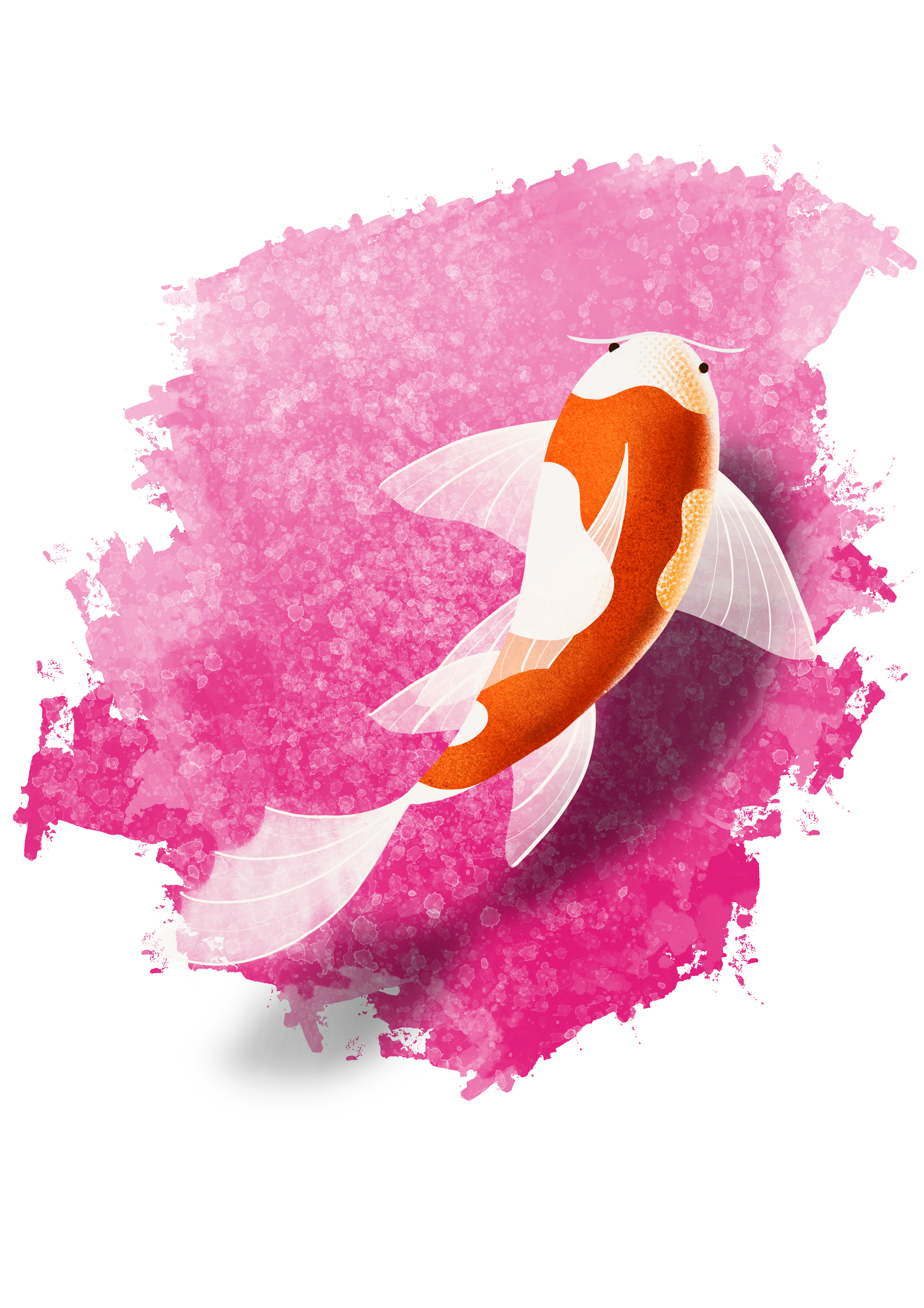 Drawing — Koi fish illustration